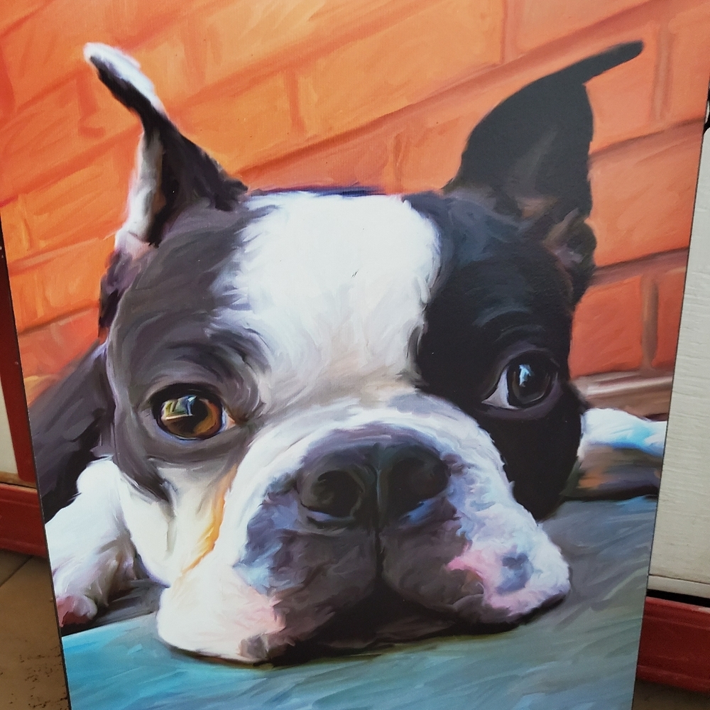 Boston Terrier artwork